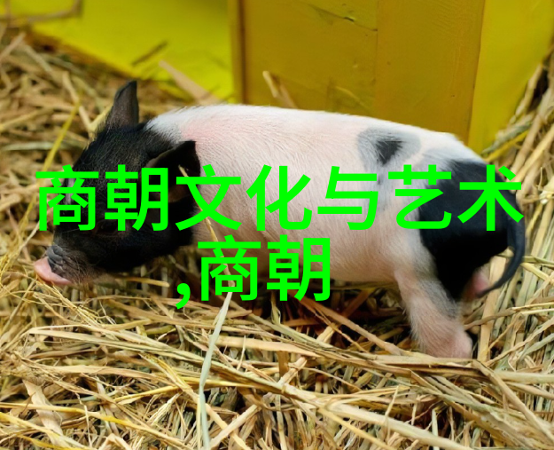 蒋介石的政治生涯从中国国民党到台湾独裁者