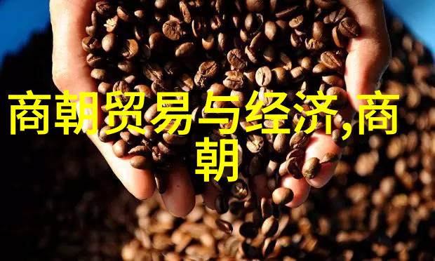 明朝覆亡无昏君的遗憾与教训