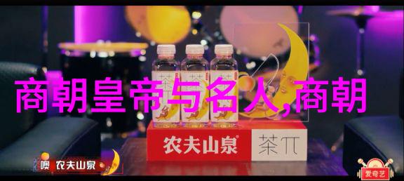 绿茶穿越前妻的秘密生活