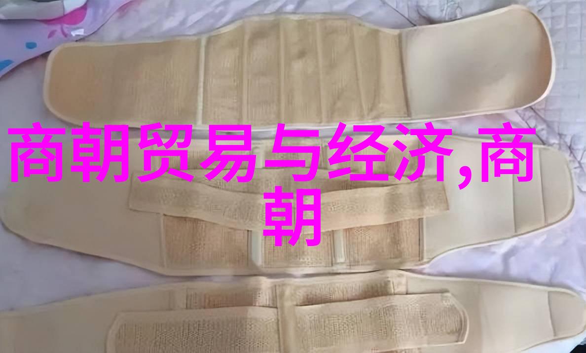 明朝灭亡的历史原因分析