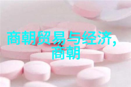 朱元璋为何不立朱棣为继承人探析明朝开国之谜
