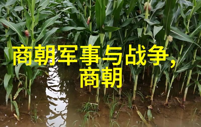 土木堡之战蒙古铁骑与明军的血腥交锋
