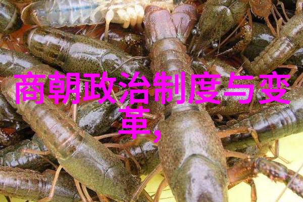 元朝知识点全解探秘大蒙古国的政治文化与军事