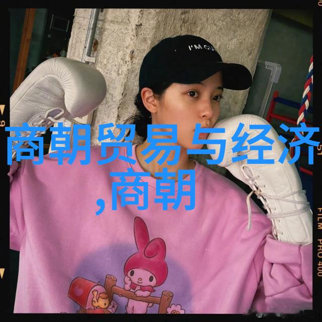 忽必烈的传奇一生-草原帝国之梦忽必烈的征途与成就