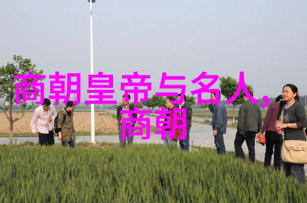 明朝的国力与前代相比有何变化