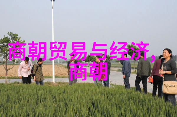 明朝世系通谱揭秘皇权顺序与宗室关系