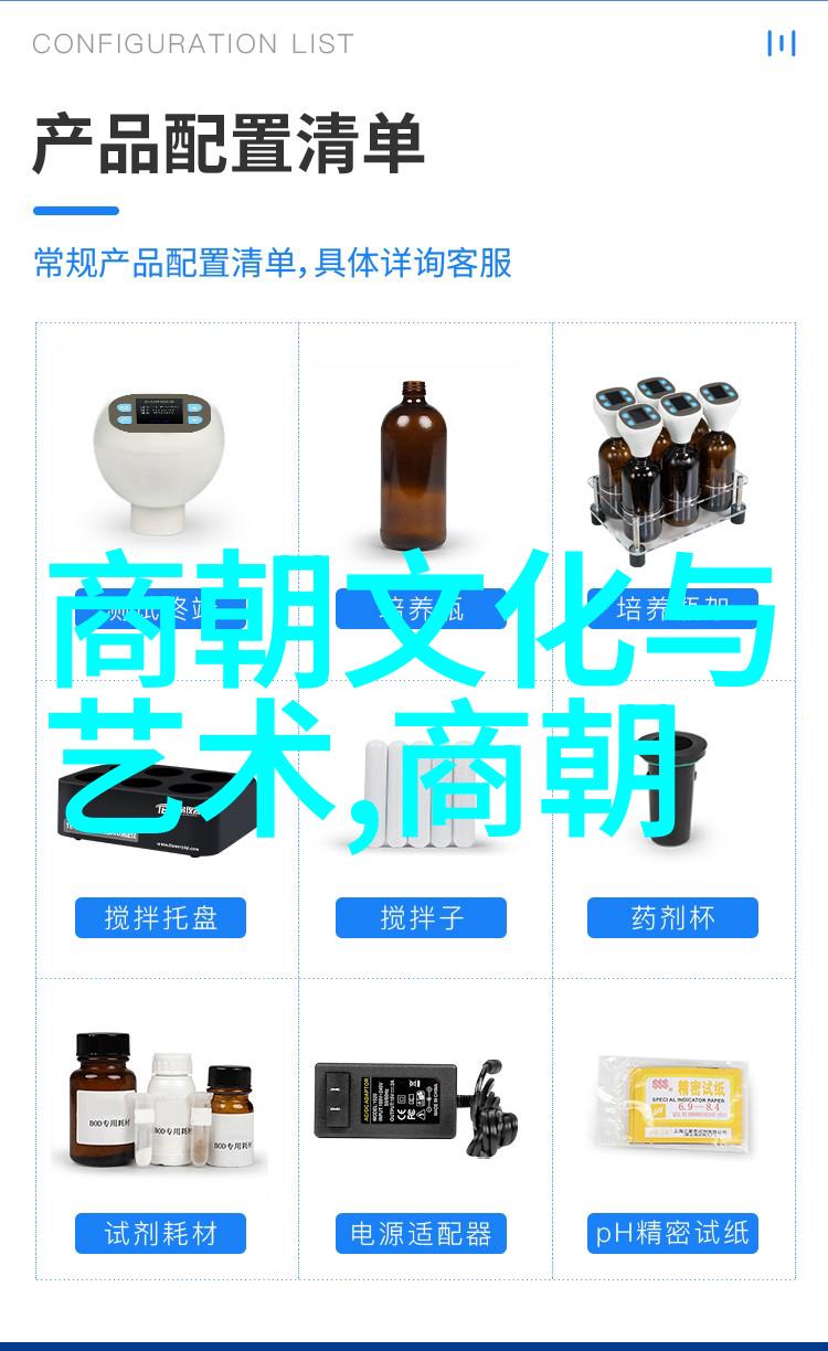 王思丽时尚名人的风采如同乘风飞扬的鸟儿反复在人们的视线中翱翔