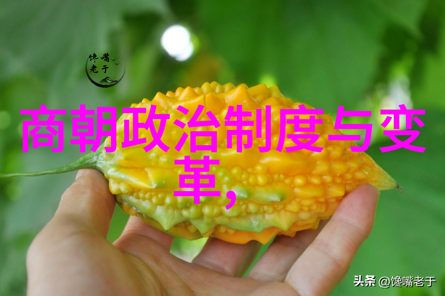 孔子弟子颜回的小店铺奇遇