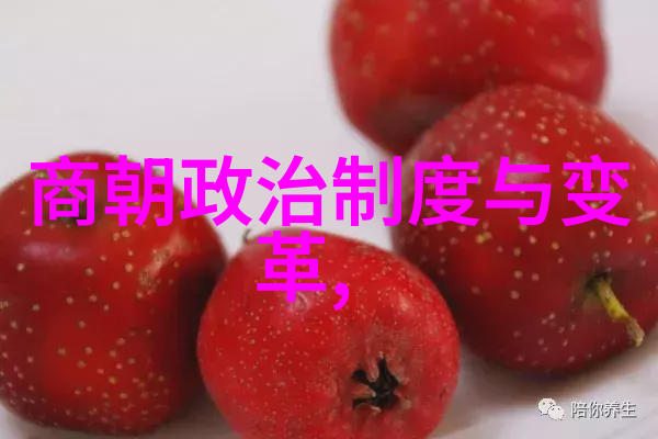 我是谁聊聊这朝代算不算真的中国的元朝那些事儿