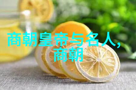 唐朝乐队的皇帝难道不觉得娶弟媳娶后妈娶儿媳实在太不讲究了吗