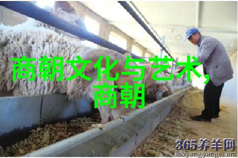 豫剧导演工作者河南陈宪章豫剧剧作者也非南京全场皆知的陈宪章