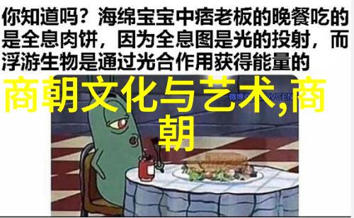 唐朝文化繁荣隋朝的历史地位与之比较