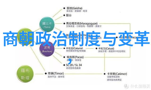明朝台湾的最后辉煌郑成功与大陆桥的守卫