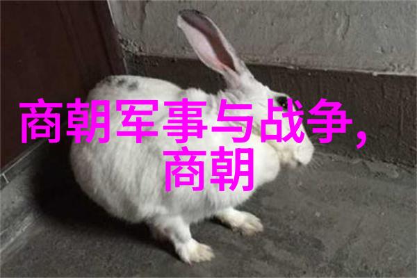 明末农民起义是如何一步步演变成全国性的抗争运动的