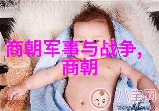 明朝对台湾文化影响的深度探究