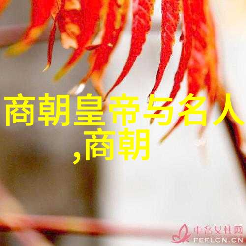 明朝那些事儿穿越时空的幽默探秘