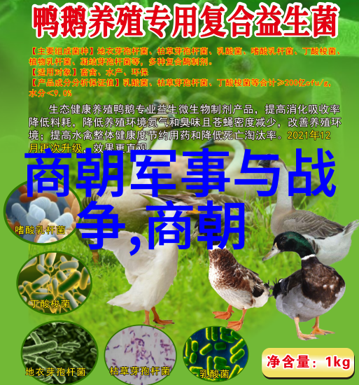明朝那些事儿金句摘抄 - 沉浮明朝百年风云录