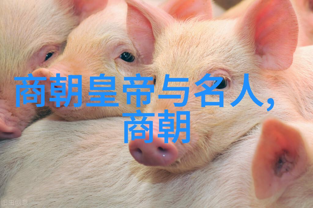 乌拉那拉氏断发野史我的父亲的光荣与挑战