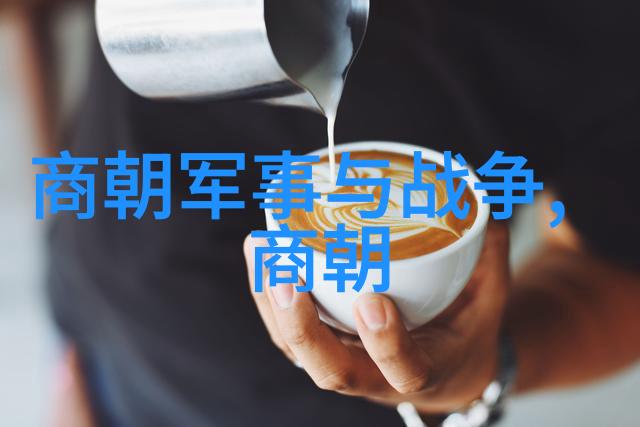 南宋覆灭元朝之军与内忧外患的夹击