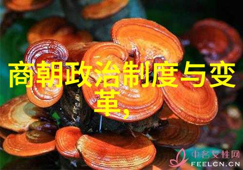 明朝历史的真实面目探究明朝是否如传说中那样黑暗