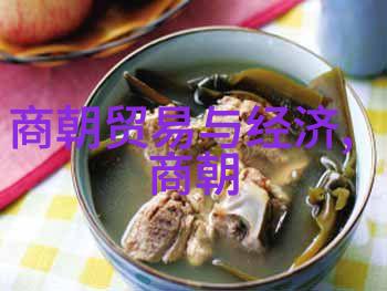 明朝历史视频播放方法-揭秘明朝风华如何欣赏古代历史视频