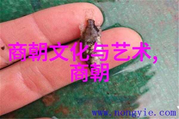 人名编码494位的秘密世界