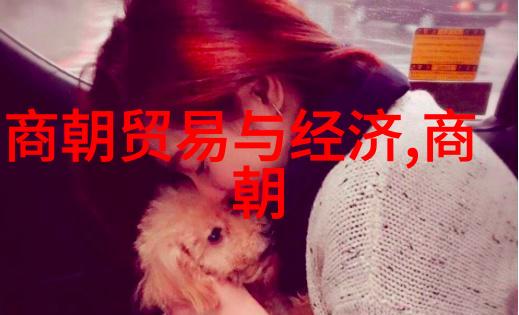 元朝基本史实有哪些-蒙古帝国的兴衰探索元朝的重要历史事件与文化遗产