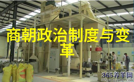 商朝最后一个国王是谁是他导致商朝的灭亡吗