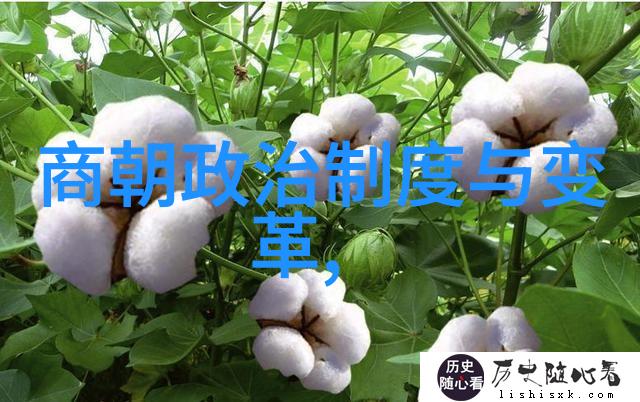 神话故事中的奇迹与挑战探索古代传说中的英雄事迹