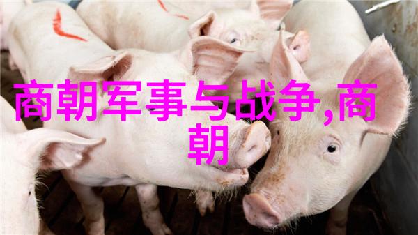 乌拉那拉氏断发野史探索历史上的独特仪式与文化象征