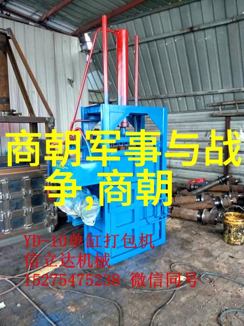 灾难与复苏 元朝大疫时期对 辽区社会影响分析