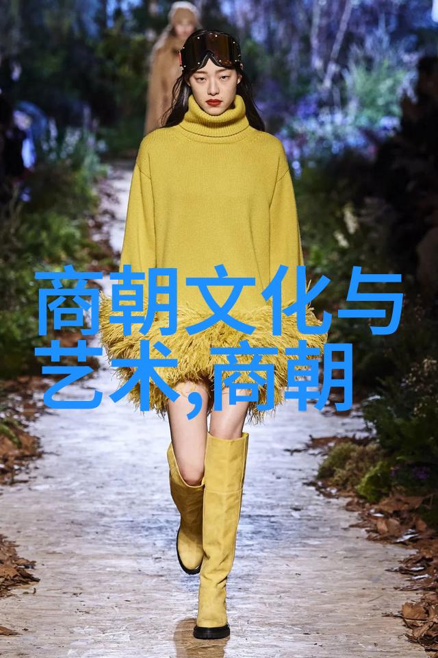 明清之争揭秘历史垃圾与文明成就