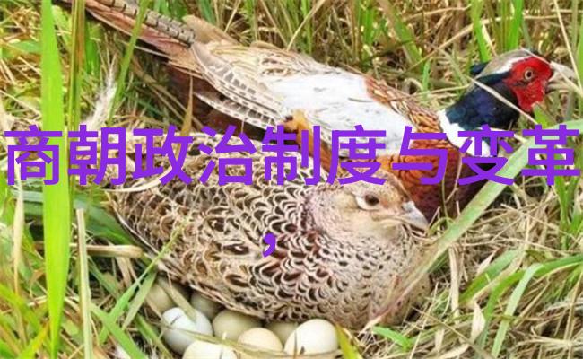 黄景仁17491783- 清朝名人故事
