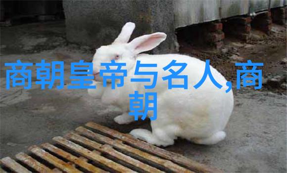 元朝历史巨变从忽必烈称帝到帖木儿西征的转折点探究