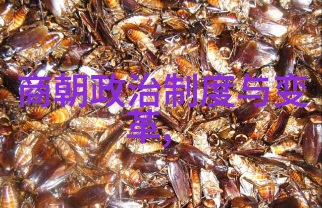 清明之末绣衣沦落元朝遗韵中的皇室公主