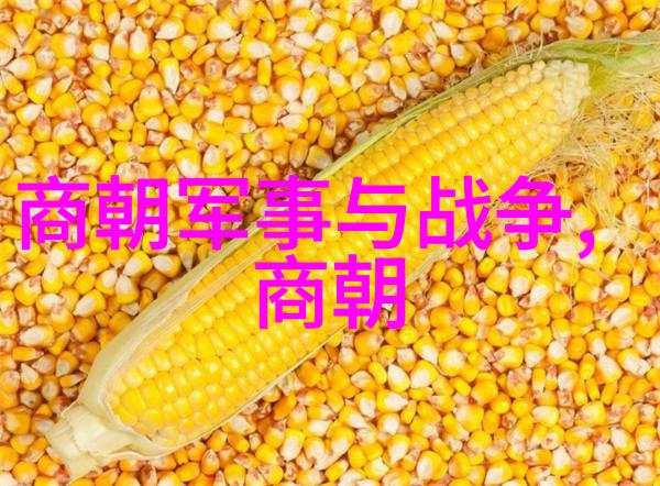 泪幕绽放姬小满张嘴流眼泪的那一刻