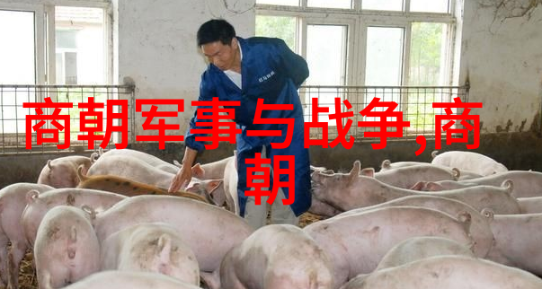 皇宫中的毒药康熙被害的秘密
