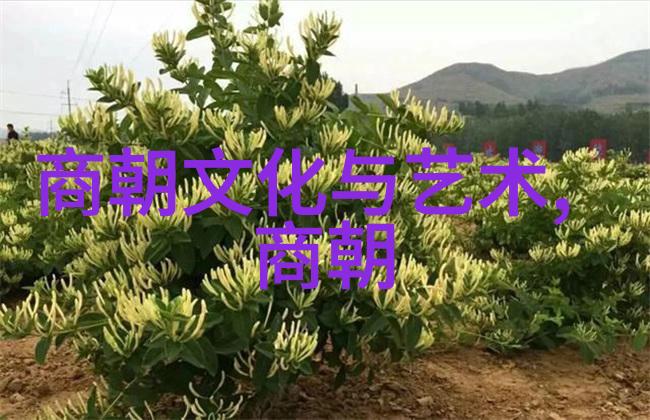 杨蒲生探究京剧史论 曹云金拜师王佩瑜于自然之美