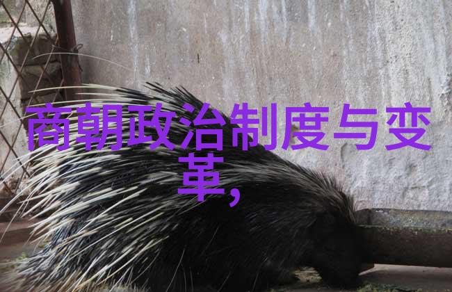 免费听明朝那些事儿我来跟你聊聊明朝那些事儿这本书的趣味点