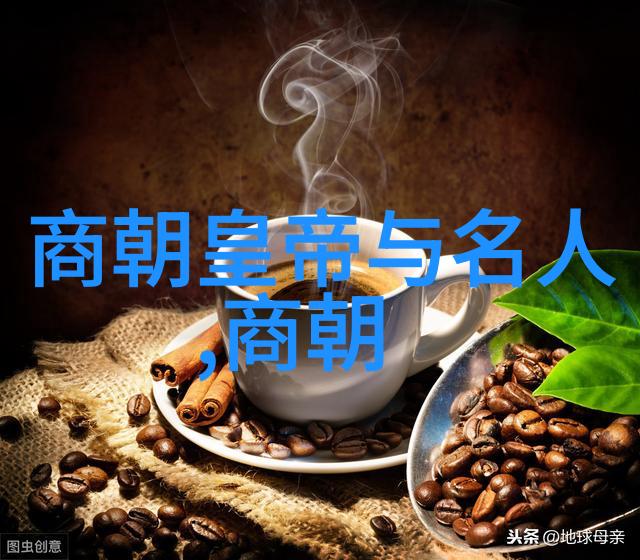 明朝最失败的我看不懂的明朝怎么就这么倒了呢