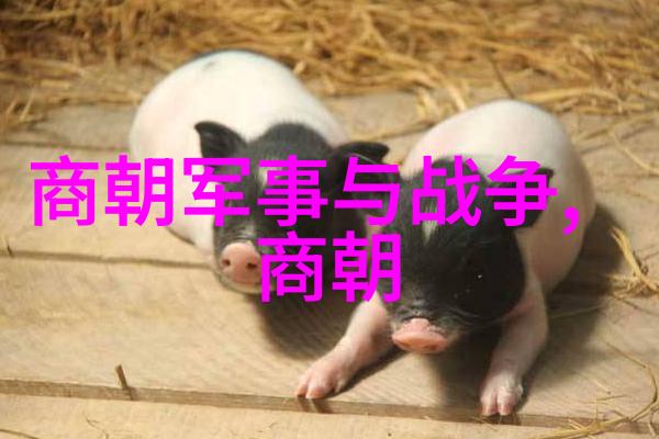 历史悲剧-土木堡之战蒙古帝国的衰落与疆土的流血