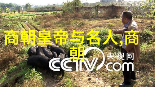 穿越时空河奇缘的历史传奇