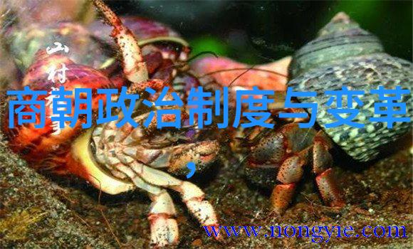 童话世界小学生神话故事集古老传说中的奇幻冒险