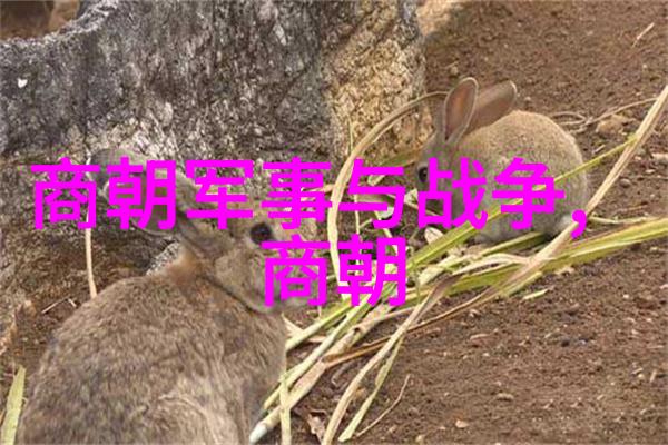 宋代文化鼎盛艺术科技与政治的交响篇章