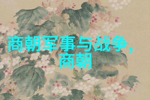苏妲己历史上的妖姬与商朝贸易的幽默故事