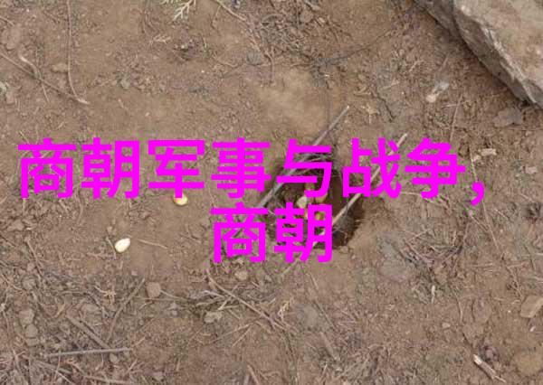 李抱一凤凰卫视直播人像