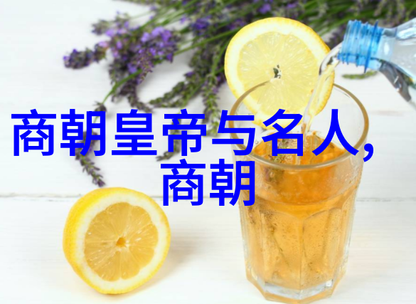 张柏芝的秘密武器揭秘她那令人惊叹的下摆魔力
