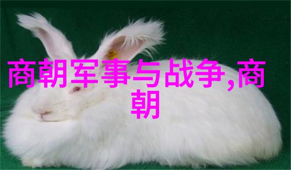 刘炳清书法巨匠的墨迹风范