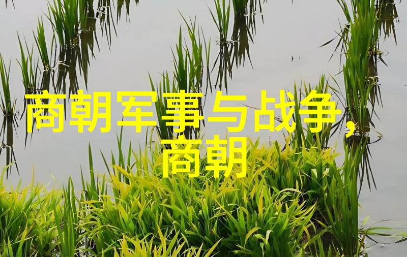 明朝那些故事的回响历史与记忆的交织