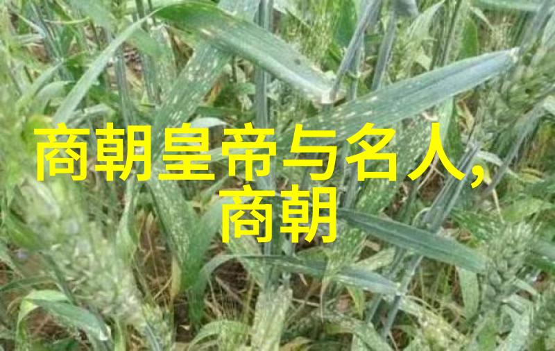 河南豫剧中的金不换金振秀的故事一个丑行演员的悲欢离合